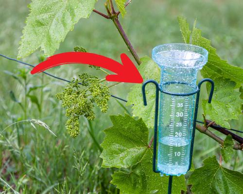 pluviomètre avec flèche rouge qui le pointe