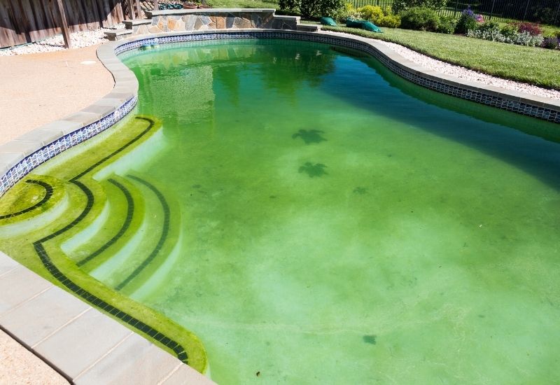 exemple d'une piscine avec eau verte